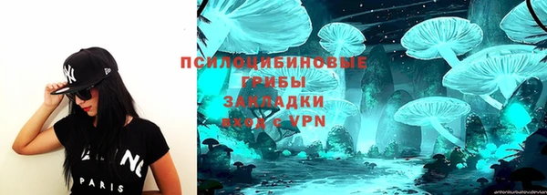 дмт Кукмор