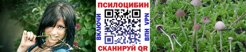Галлюциногенные грибы мухоморы  Макаров 